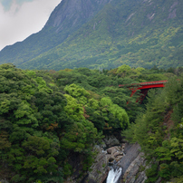 屋久島