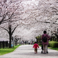 smc PENTAX DA55−300mm F4-5.8 ED 実写例あり smc PENTAX DA55−300mm F4-5.8 ED 実写例あり