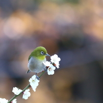 きっとここに