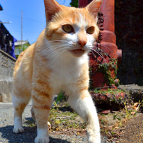ルンルン♪