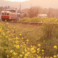 小湊鉄道Ⅳ