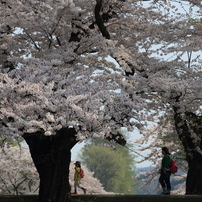 北上展勝地なう
