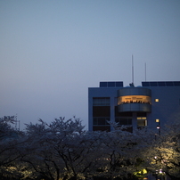 十和田市春まつりなう