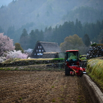 世界遺産の片隅で