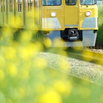 My Favorite Photographs