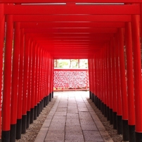 色々な画像(^^)