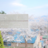 DSCF7053