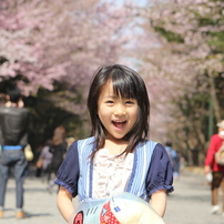 桜通りで