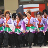青森で「よさこいソーラン」