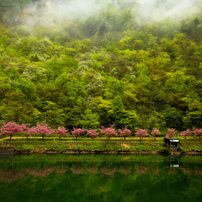 ”Beautiful JAPAN「緑」”