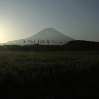 富士山旅行Ⅱ 008
