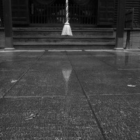 雨の平林寺