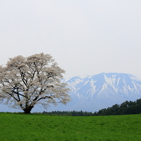 曇天ナウ