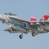 VFA-102 Diamondbacks