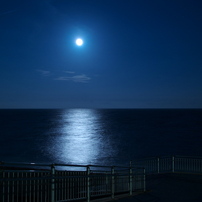 Night view