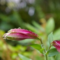 雨の日