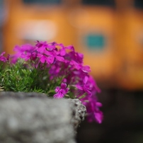 鉄道系