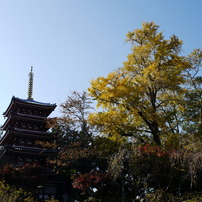本土寺