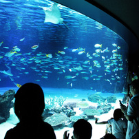 14/5/18　サンシャイン水族館①