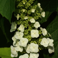 季節到来10