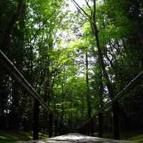 夏の京都写真集