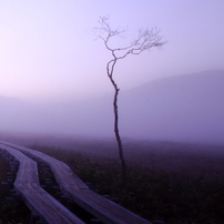 尾瀬ヶ原の写真(画像)・写真集 - 写真共有サイト:PHOTOHITO