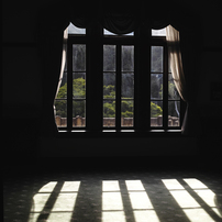 Shadows & Silhouettes2