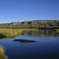 Yellowstone National Park