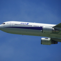 ×50(1200mm)