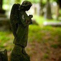 Cemetery in Hong Kong