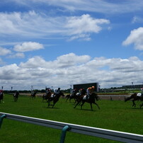 東京競馬場