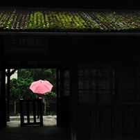 わたらせ渓谷鐵道　夏