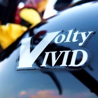 SUZUKI Volty250vivid "Felt" 08