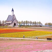 春色の高原　～牧歌の里～