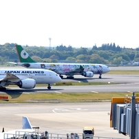 飛ぶ前のKitty./JAL７８７