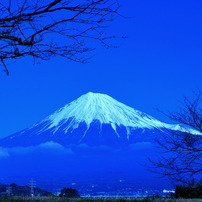 電球富士山