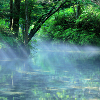 神の子池の写真 画像 写真集 写真共有サイト Photohito