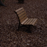 冷たい雨 － 代々木公園