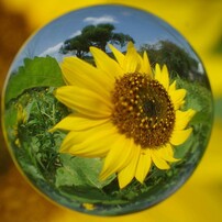 ♥︎◇近くも遠くもOK♪ ◇SIGMA 28-300mm PENTAX ◇美品 ◇近くも遠くもOK♪ ◇SIGMA シグマ 28-300mm PENTAX ペンタックス◇美