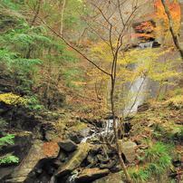 白倉峡の紅葉２００９