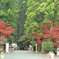 小国神社の秋