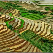 ムカンチャイ棚田