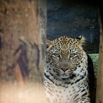 動物園