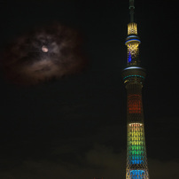夜景