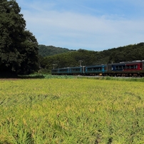 ちょっと遅め