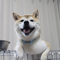 笑顔＾＾朝ごはん待ち
