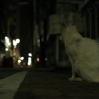 CANON(キヤノン)のデジタル一眼EOS 70D で撮影した写真(画像)一覧(1359