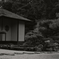 OTHERS(その他)のフィルムカメラヤシカ FX-3 SUPER 2000 で撮影した