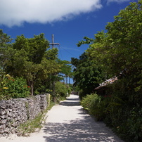 石垣島・竹富島にて
