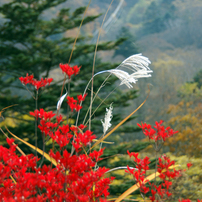 秋の中禅寺湖と華厳の滝